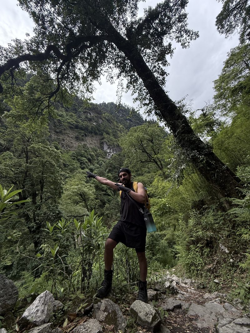 Pointing toward the trail through a forest canyon